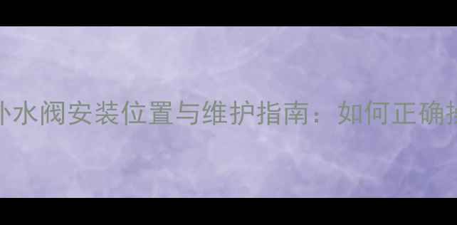 菲斯顿壁挂炉补水阀安装位置与维护指南如何正确操作及故障排除