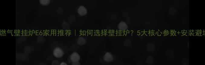 菲斯顿燃气壁挂炉E6家用推荐如何选择壁挂炉5大核心参数安装避坑指南