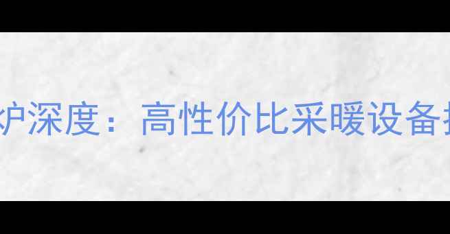 图片 萨弘天然气壁挂炉深度：高性价比采暖设备推荐与选购指南1