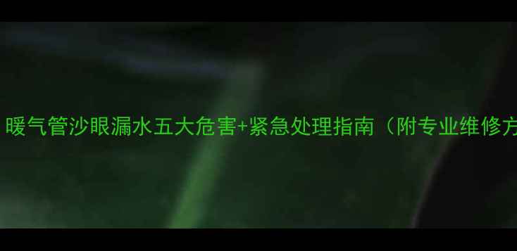 图片 警惕！暖气管沙眼漏水五大危害+紧急处理指南（附专业维修方案）2