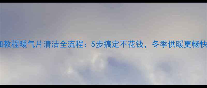图片 详细教程暖气片清洁全流程：5步搞定不花钱，冬季供暖更畅快！1