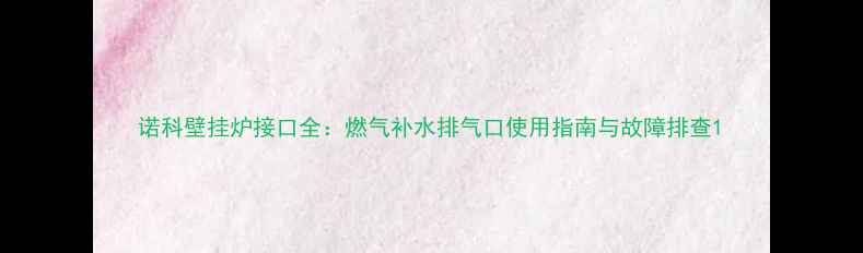 图片 诺科壁挂炉接口全：燃气补水排气口使用指南与故障排查1