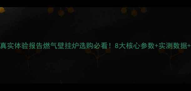 贝力菲壁挂炉真实体验报告燃气壁挂炉选购必看8大核心参数实测数据用户口碑全