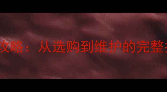 贝尔塔壁挂炉安装使用全攻略从选购到维护的完整指南附故障排除技巧