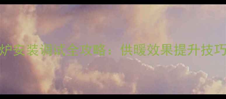 图片 贝尔塔燃气壁挂炉安装调试全攻略：供暖效果提升技巧与常见问题解答
