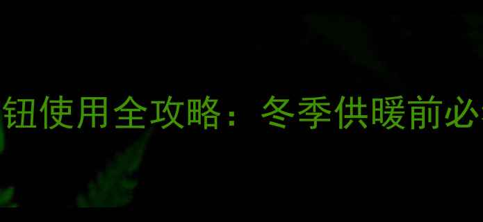 图片 贝雷塔壁挂炉内注水旋钮使用全攻略：冬季供暖前必看的5大安全操作步骤1