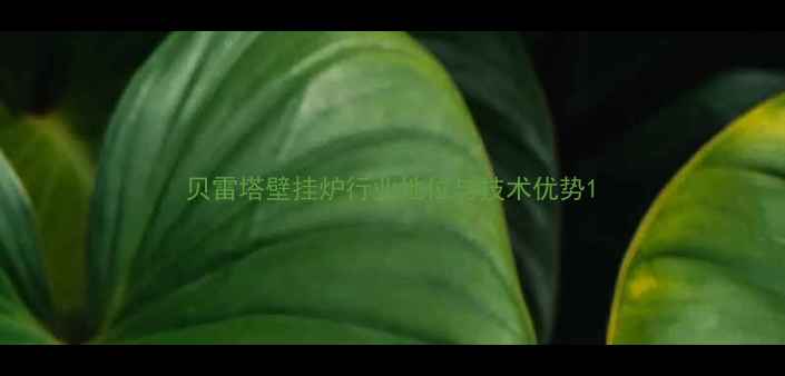 贝雷塔壁挂炉行业地位与技术优势