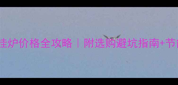 图片 进口壁挂炉价格全攻略｜附选购避坑指南+节能技巧1