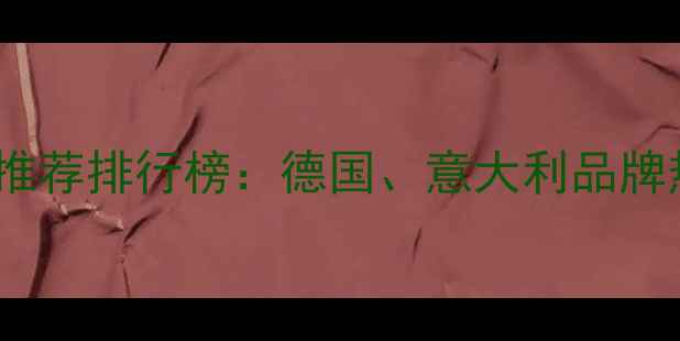 图片 进口壁挂炉十大推荐排行榜：德国、意大利品牌热销与选购指南1