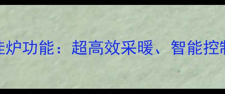 图片 进口威能壁挂炉功能：超高效采暖、智能控制与稳定性能