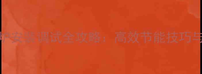 图片 进口威能燃气壁挂炉安装调试全攻略：高效节能技巧与常见故障排除指南
