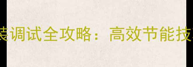 图片 进口威能燃气壁挂炉安装调试全攻略：高效节能技巧与常见故障排除指南2