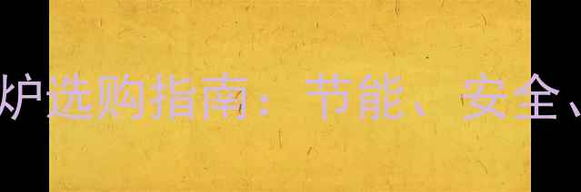 图片 进口燃气壁挂炉选购指南：节能、安全、舒适三要素1