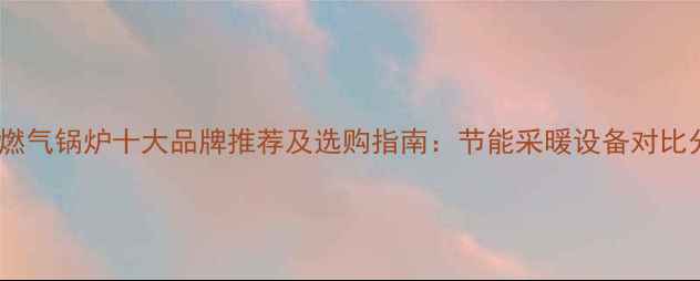 进口燃气锅炉十大品牌推荐及选购指南节能采暖设备对比分析