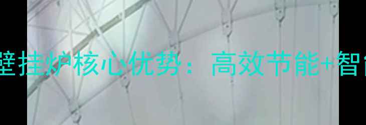 选购指南威能燃气壁挂炉核心优势高效节能智能控制安全性能全