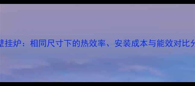 图片 选购指南暖气片VS壁挂炉：相同尺寸下的热效率、安装成本与能效对比分析（附避坑建议）