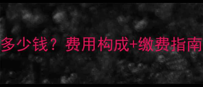 图片 邯郸市暖气费多少钱？费用构成+缴费指南+节能技巧全1