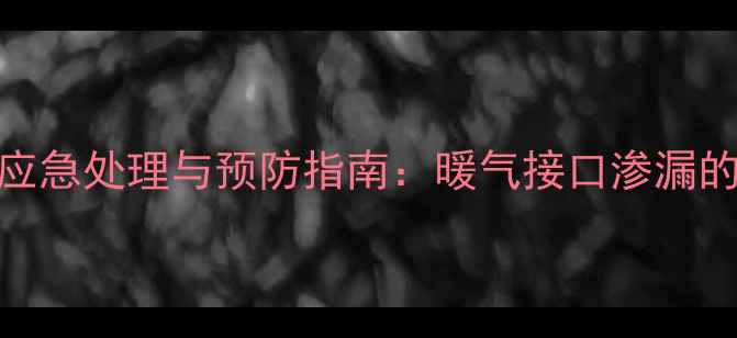 图片 采暖设备漏水应急处理与预防指南：暖气接口渗漏的完整解决方案