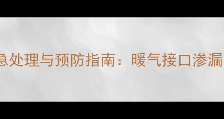 图片 采暖设备漏水应急处理与预防指南：暖气接口渗漏的完整解决方案1