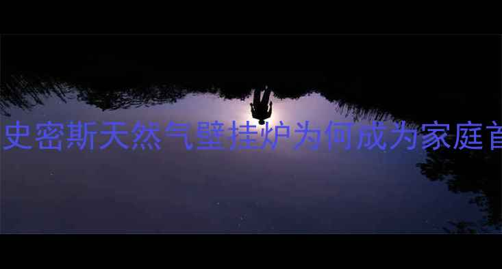 图片 采暖设备选购指南：史密斯天然气壁挂炉为何成为家庭首选？节能环保性能2