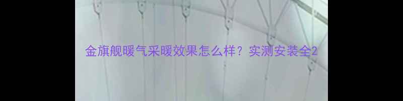 金旗舰暖气采暖效果怎么样实测安装全