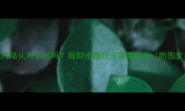 图片 钢暖气片堵头可以拆吗？拆卸步骤与注意事项全（附图文指南）