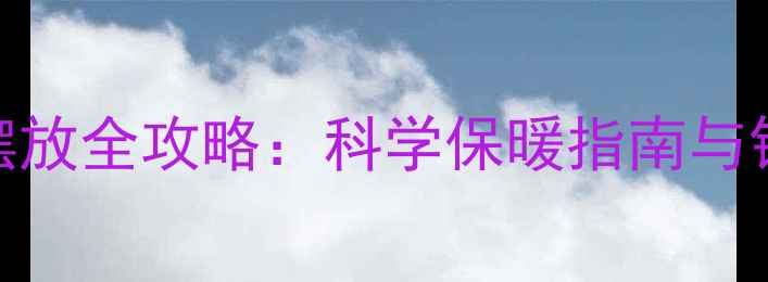 钢琴暖气片摆放全攻略科学保暖指南与钢琴养护秘籍