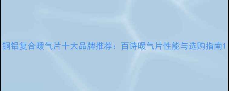 图片 铜铝复合暖气片十大品牌推荐：百诗暖气片性能与选购指南1