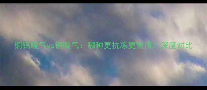 铜铝暖气vs钢暖气哪种更抗冻更耐用深度对比