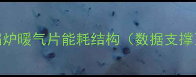 图片 锅炉暖气片能耗结构（数据支撑）