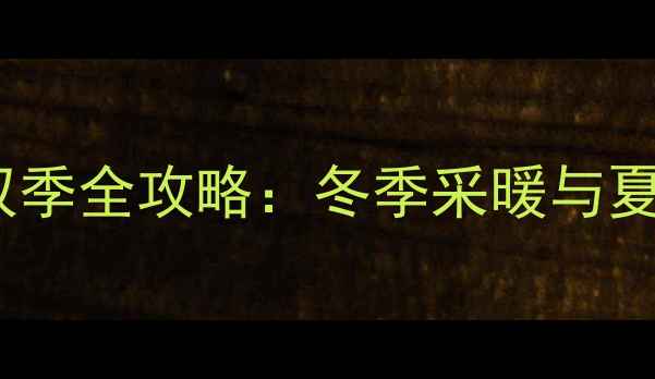 图片 阿里斯顿壁挂炉冷暖双季全攻略：冬季采暖与夏季制冷高效解决方案1