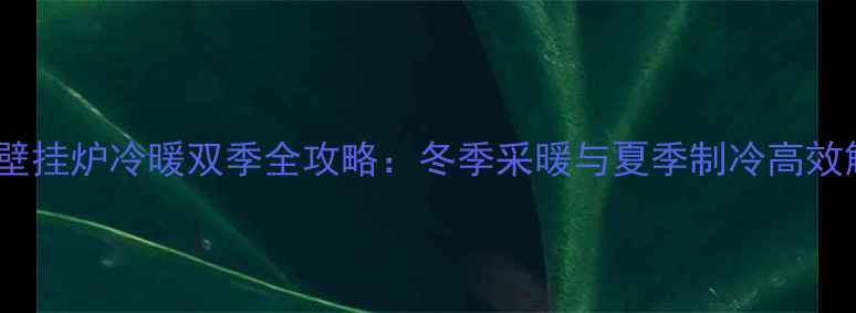 图片 阿里斯顿壁挂炉冷暖双季全攻略：冬季采暖与夏季制冷高效解决方案2