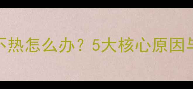 图片 阿里斯顿暖气不热怎么办？5大核心原因与专业维修指南