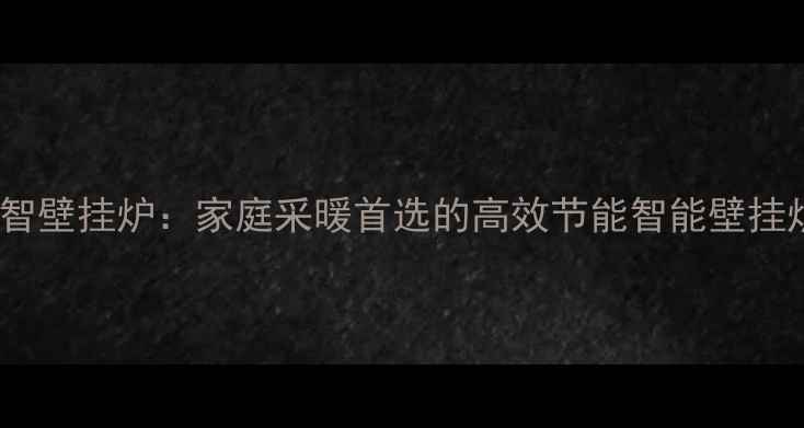 阿里斯顿雅智壁挂炉家庭采暖首选的高效节能智能壁挂炉解决方案