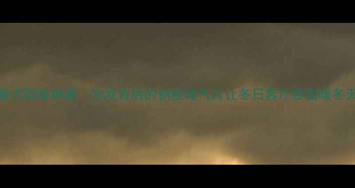 隐藏式取暖神器沙发背后的钢板暖气片让冬日客厅秒变暖冬天堂