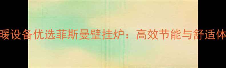 图片 雅安健身房采暖设备优选菲斯曼壁挂炉：高效节能与舒适体验的完美结合