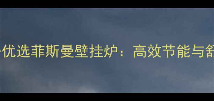图片 雅安健身房采暖设备优选菲斯曼壁挂炉：高效节能与舒适体验的完美结合1