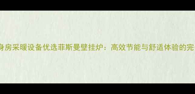 雅安健身房采暖设备优选菲斯曼壁挂炉高效节能与舒适体验的完美结合