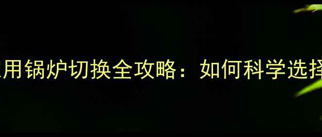 图片 集中供暖与家用锅炉切换全攻略：如何科学选择采暖设备？2