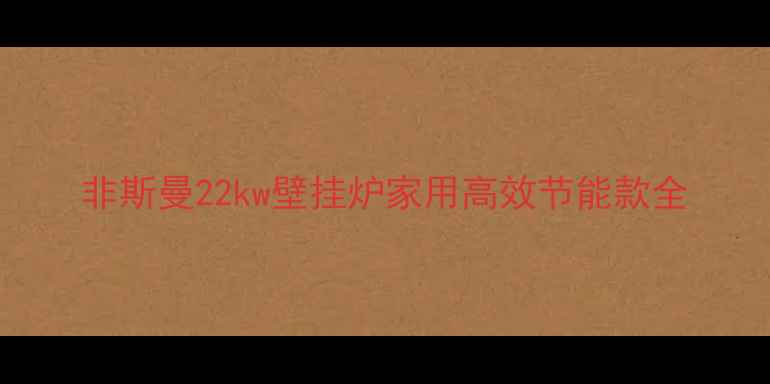 图片 非斯曼22kw壁挂炉家用高效节能款全