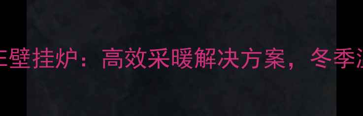 图片 韩国乐天LOTTE壁挂炉：高效采暖解决方案，冬季温暖守护专家1