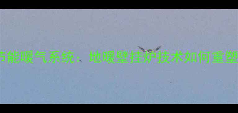 图片 韩国清州高效节能暖气系统：地暖壁挂炉技术如何重塑冬季采暖体验1