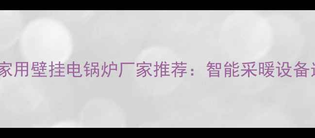 高效节能型家用壁挂电锅炉厂家推荐智能采暖设备选购全指南