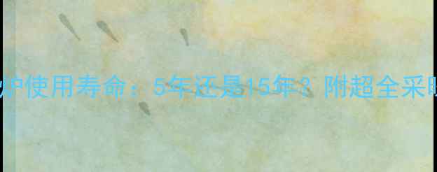 Ao史密斯壁挂炉使用寿命5年还是15年附超全采暖设备保养秘籍