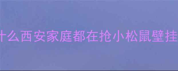 为什么西安家庭都在抢小松鼠壁挂炉