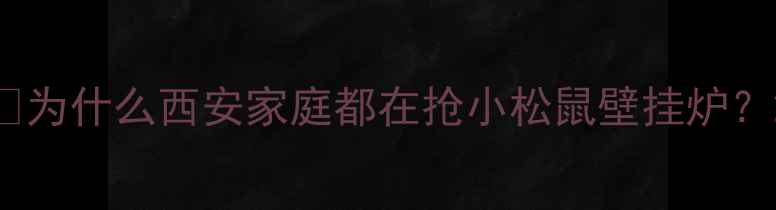 图片 🌟为什么西安家庭都在抢小松鼠壁挂炉？2