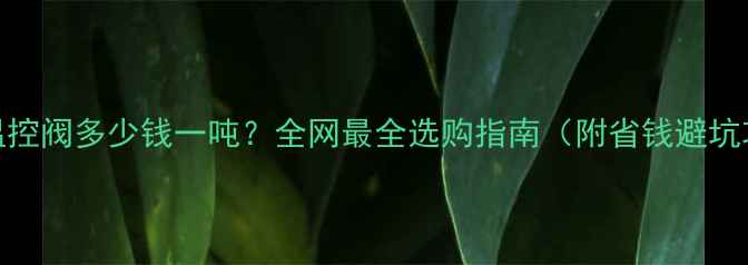 地暖温控阀多少钱一吨全网最全选购指南附省钱避坑攻略