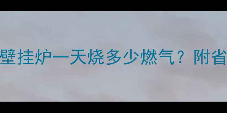 图片 🌟最新耗气量！暖气壁挂炉一天烧多少燃气？附省气公式和选购指南🏠