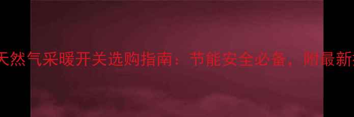 图片 🌟进口家用天然气采暖开关选购指南：节能安全必备，附最新推荐型号！1
