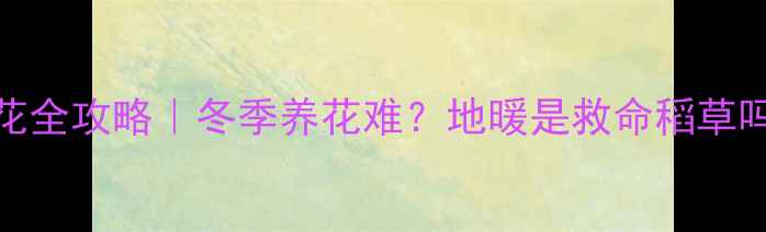 图片 🌿阳台地暖养花全攻略｜冬季养花难？地暖是救命稻草吗？✨干货分享